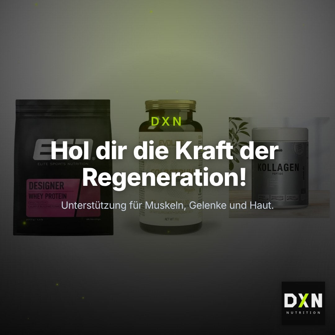 Regenerations-Set: ESN Designer + Evolite Nutriti + Sinob Kollagen – Clean Showcase Plus