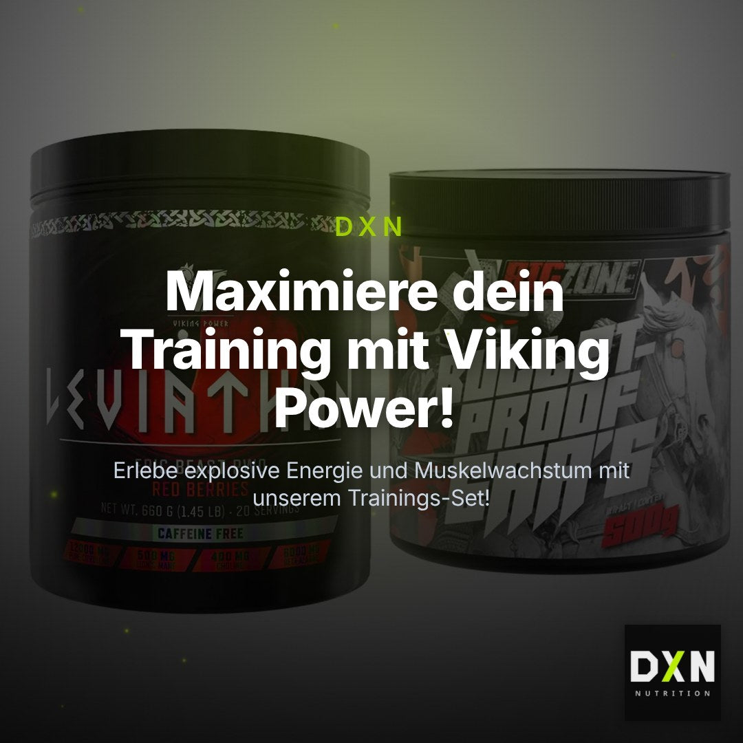 Trainings-Set: Viking Power Leviathan + Big Zone Bulletproof EAA's – Clean Showcase Plus