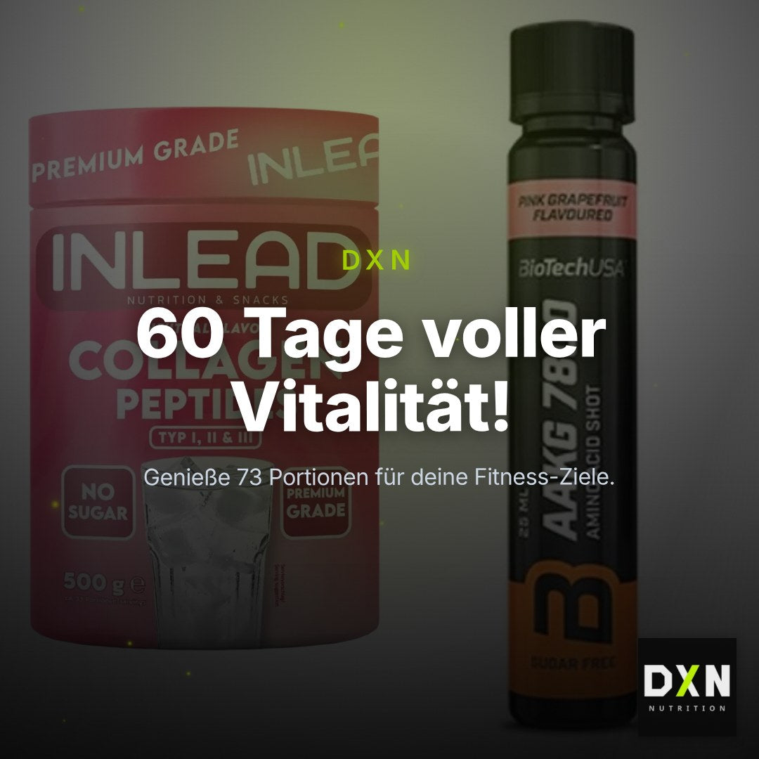 Aminosäuren-Zweimonatsvorrat: INLEAD Collagen – 60 Tage, 73 Portionen – Clean Showcase Plus