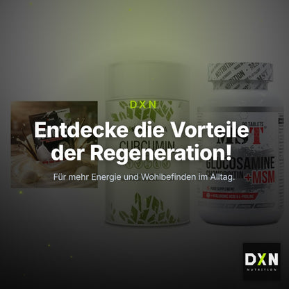 Regenerations-Set: Sinob Honest + Sinob Curcumin + MST Glucosamine – Clean Showcase Plus