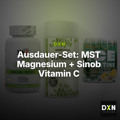 Ausdauer-Set: MST Magnesium + Sinob Vitamin C + FA Nutrition ICE – Clean Showcase Plus