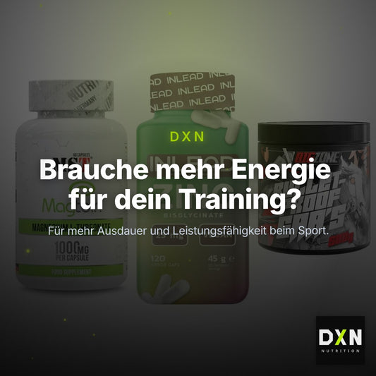 Ausdauer-Set: MST Magnesium + INLEAD Zink + Big Zone Bulletp – Clean Showcase Plus