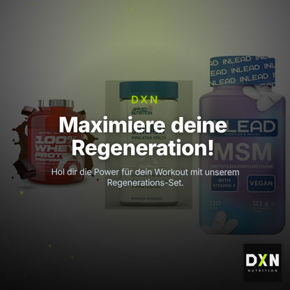Regenerations-Set: Scitec 100% + Applied Nutriti + INLEAD MSM – Clean Showcase Plus