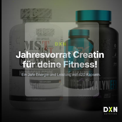 Creatin-Jahresvorrat: MST Creatine HCL – 365 Tage, 420 Kapseln – Clean Showcase Plus