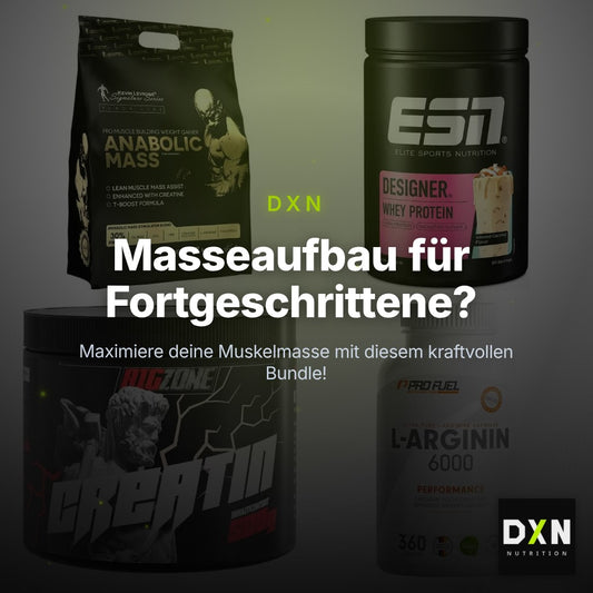 Masseaufbau für Fortgeschrittene: Kevin Levrone Anabolic + 3 weitere – Clean Showcase Plus