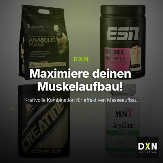 Masseaufbau für Fortgeschrittene: Kevin Levrone Anabolic + 3 weitere – Clean Showcase Plus