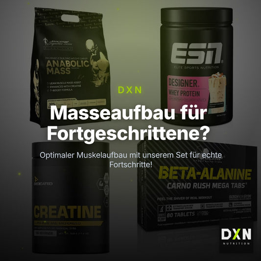 Masseaufbau für Fortgeschrittene: Kevin Levrone Anabolic + 3 weitere – Clean Showcase Plus