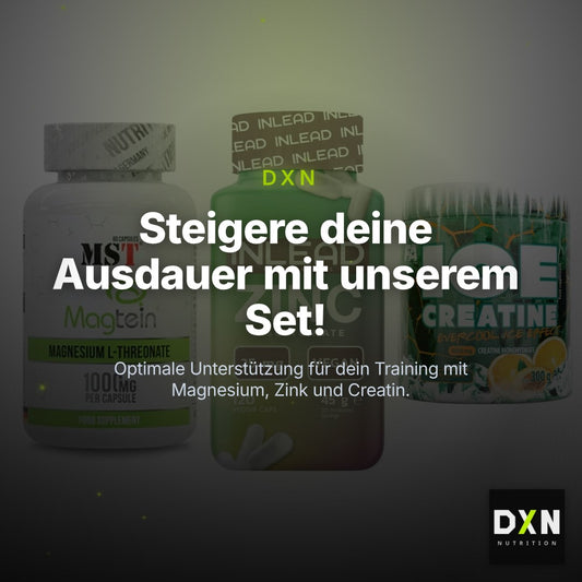 Ausdauer-Set: MST Magnesium + INLEAD Zink + FA Nutrition ICE – Clean Showcase Plus