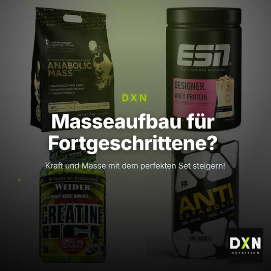 Masseaufbau für Fortgeschrittene: Kevin Levrone Anabolic + 3 weitere – Clean Showcase Plus
