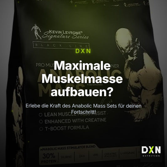 Masseaufbau für Fortgeschrittene: Kevin Levrone Anabolic + 3 weitere – Clean Showcase Plus