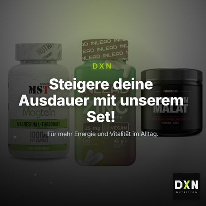 Ausdauer-Set: MST Magnesium + INLEAD Zink + Sinob Core – Clean Showcase Plus