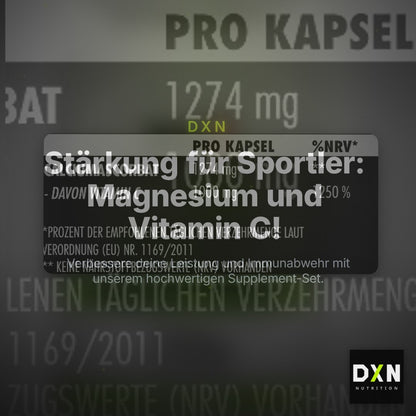 Ausdauer-Set: MST Magnesium + Big Zone Buffere + Skull Labs – Clean Showcase Plus