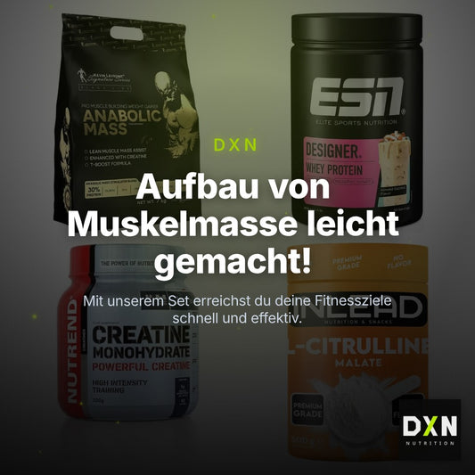 Masseaufbau für Fortgeschrittene: Kevin Levrone Anabolic + 3 weitere – Clean Showcase Plus