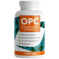 Einsteiger-Set: Sinob Honest + Body Attack 100% + ProFuel OPC – ProFuel OPC Traubenkernextrakt 240 Kapseln